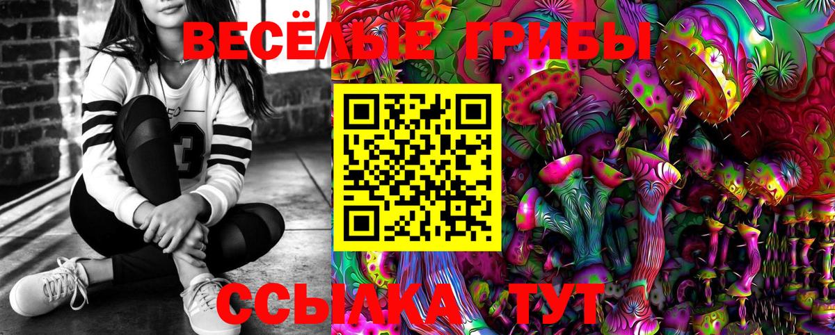 Галлюциногенные грибы Cubensis Новокуйбышевск