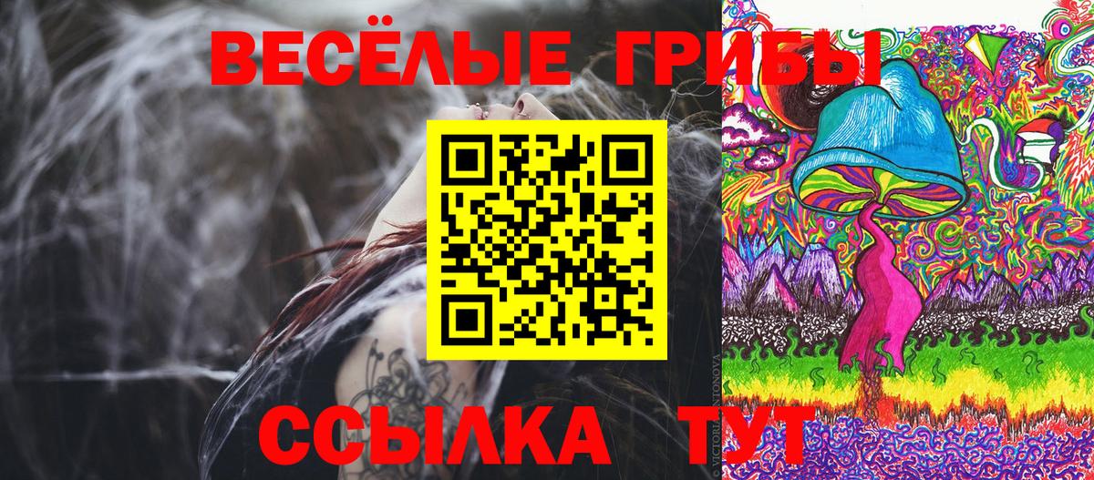 Псилоцибиновые грибы прущие грибы  Вход с VPN  купить закладку  Новокуйбышевск  Галлюциногенные грибы Psilocybe 